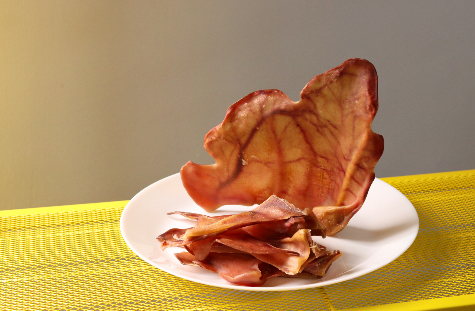 dehydrated pig ear chew for dogs