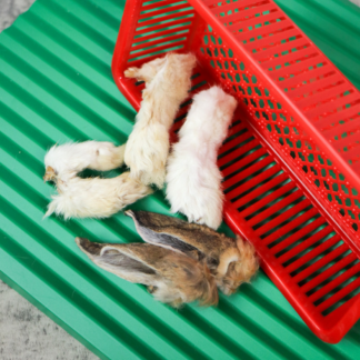 Chew On This : Rabbit Ears & Feet (with fur)