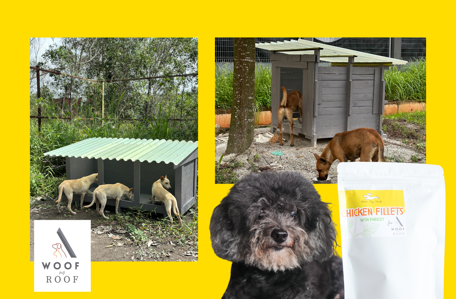 quan dog treats for woof my roof