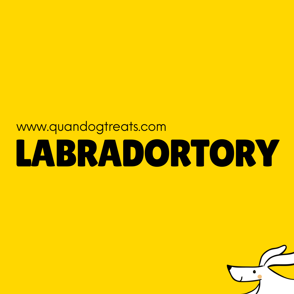 From our Labradortory