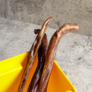 Chew On This : Bull Pizzle (Bully Sticks)