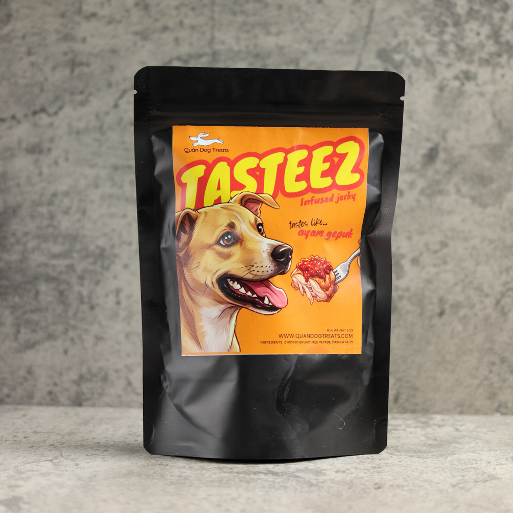 TASTEEZ Infused Jerky : tastes like... Ayam Gepuk - Image 3