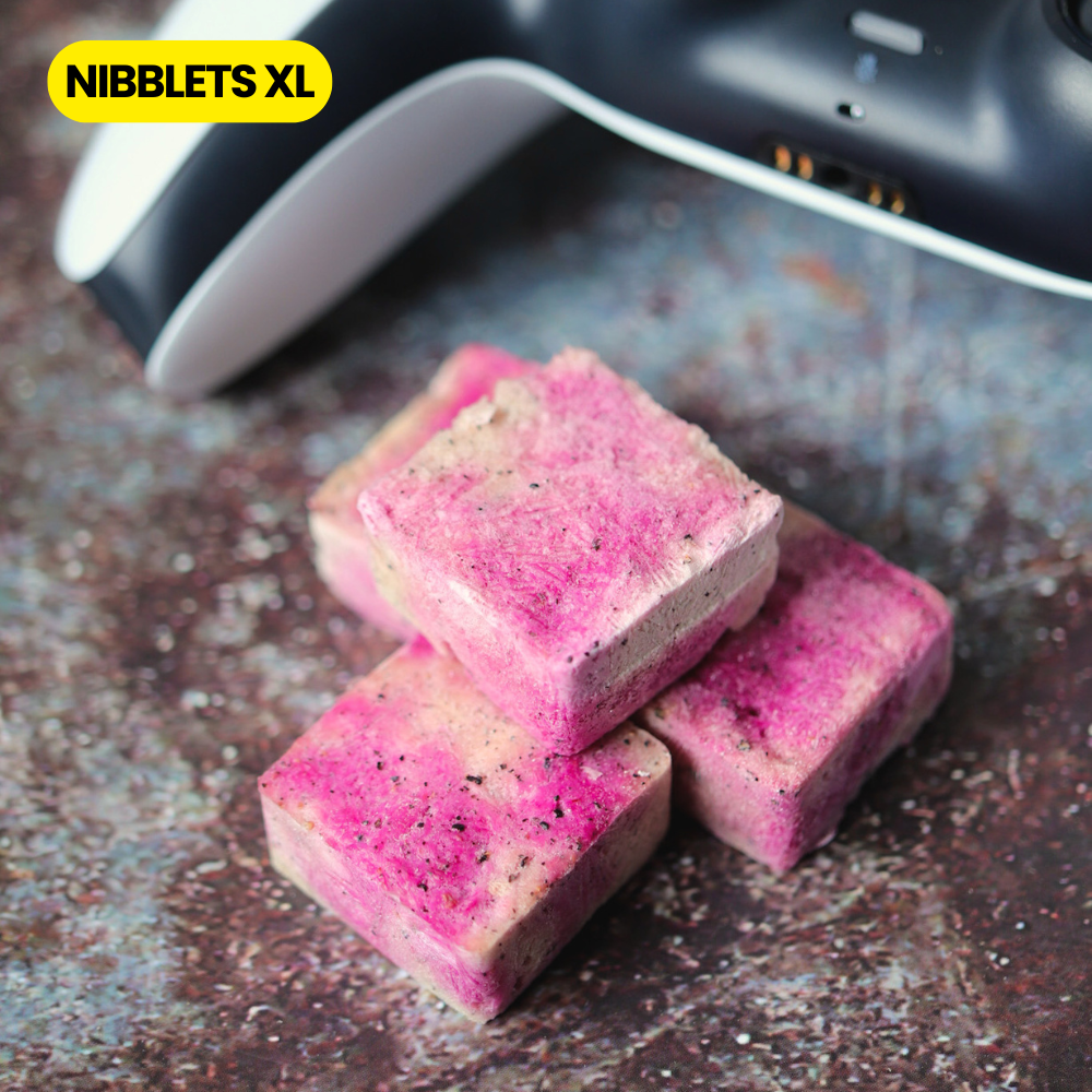 Nibblets XL : Double Dragon (Pork & Dragonfruit)