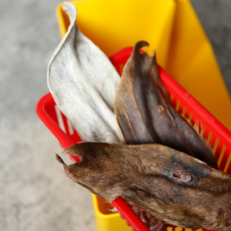 Chew On This : Goat Ears (Fur on)